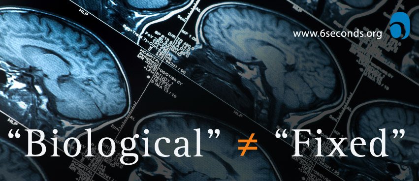 Physiology of Emotion, Exercise, and Change