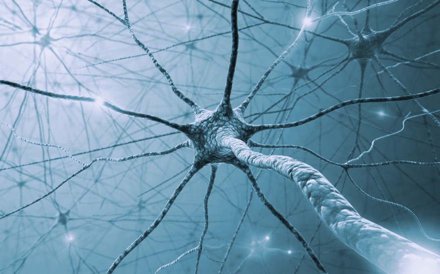 Psychiatrists Map Your Brain’s Reaction in Social Settings