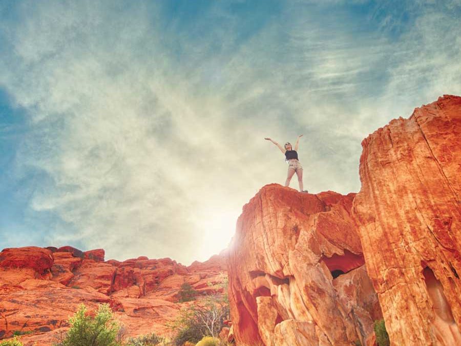 White Paper: Emotional Intelligence and Success