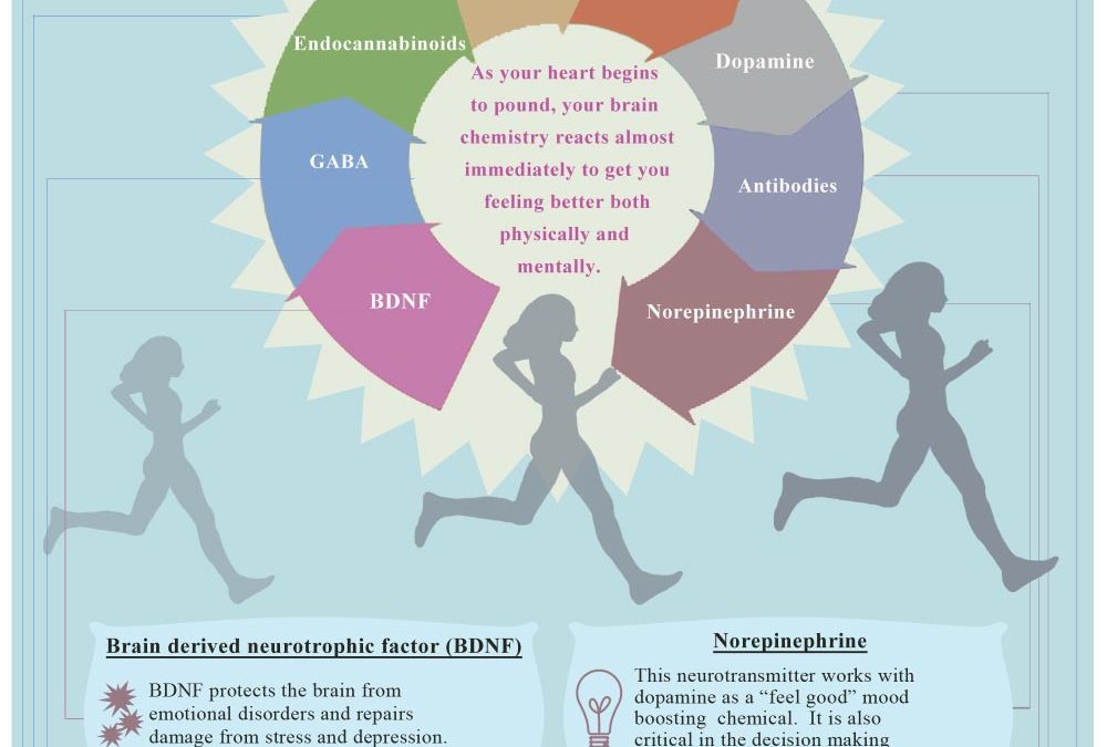 The Science of Happiness and Exercise