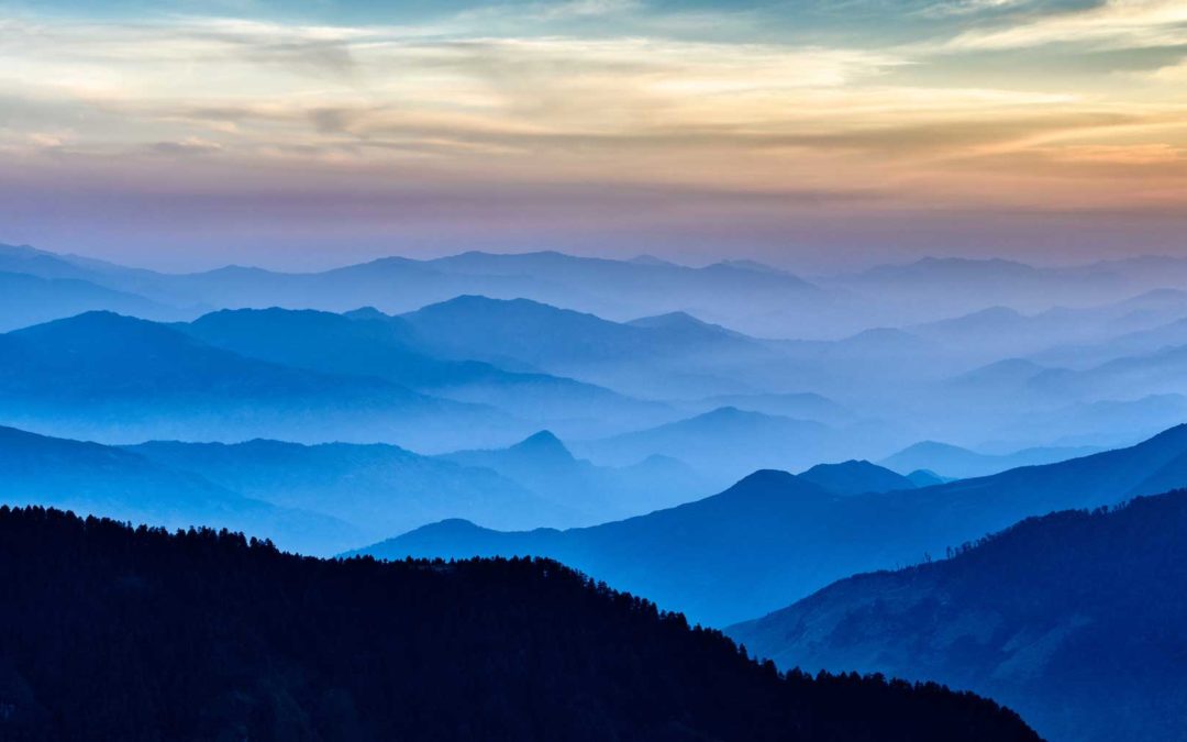Collaboration with Emotional Intelligence: For Earth and All of Us
