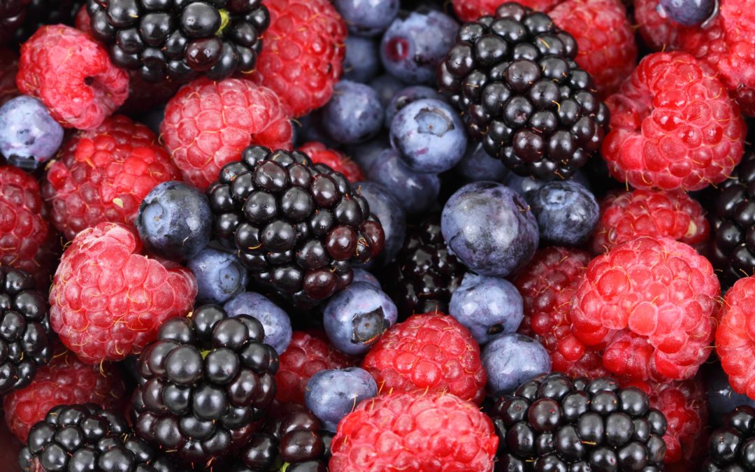 The Fruits of Collaboration: Organic Farmers Use Six Seconds’ Tools to Work Together More Effectively