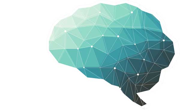Learning About Learning & the Brain – Interview with Neuroscientist Mary-Helen Immordino-Yang